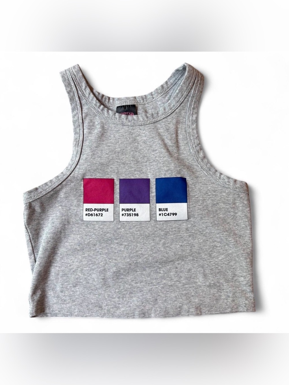Cherrykitten Bisexual Pride Pantone Crop Tank Top - Grey Y2K Size M
